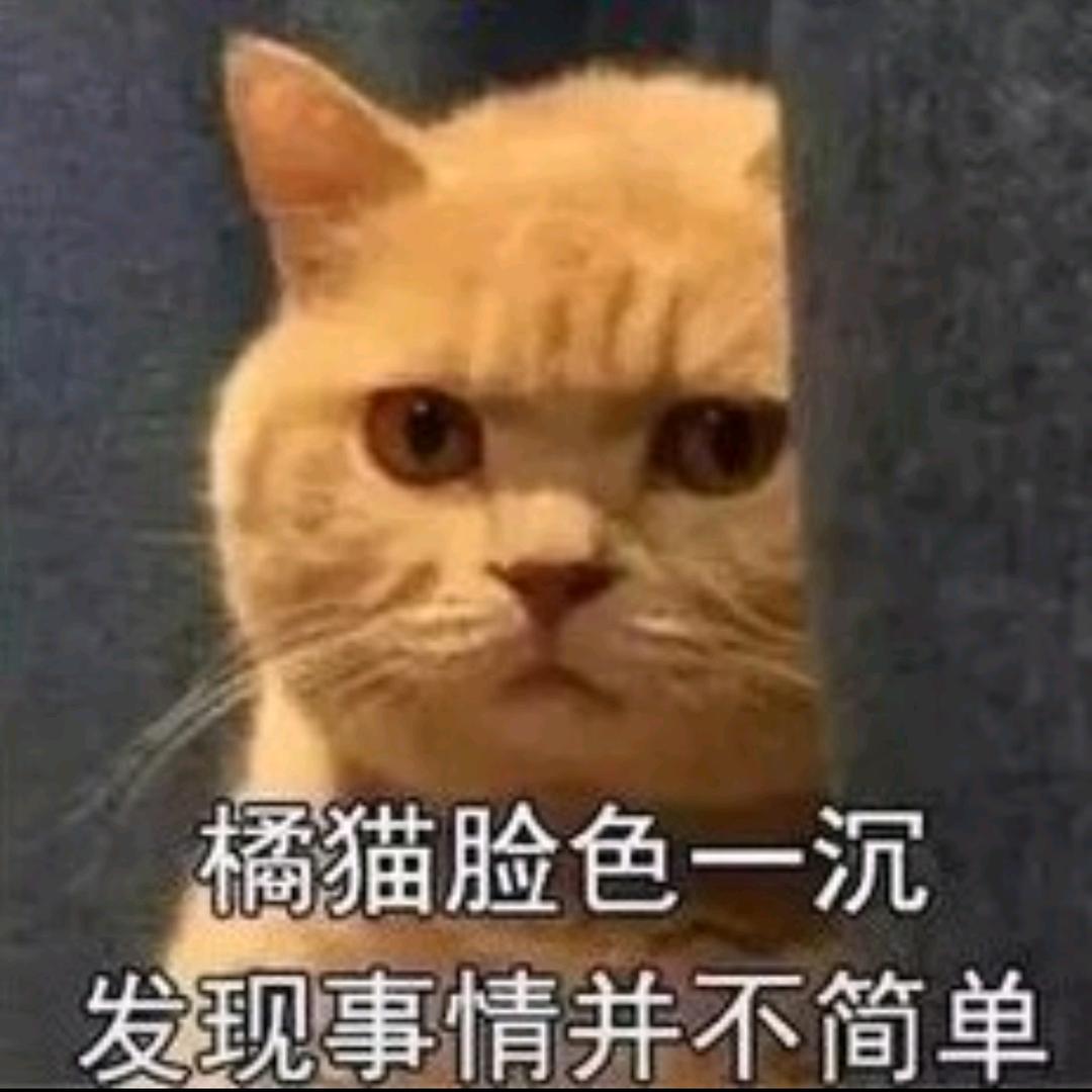 橘猫丶