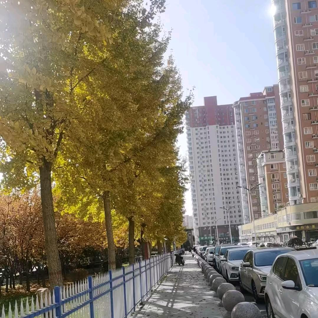 舍得大叔（手游推广）