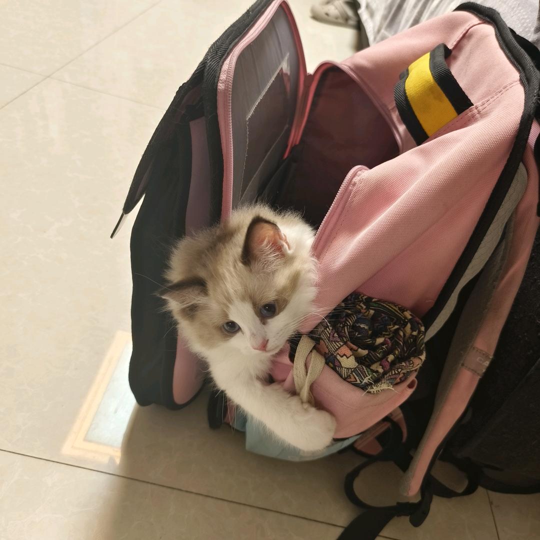 溪溪妈