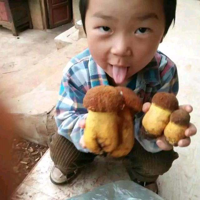 家和万事兴