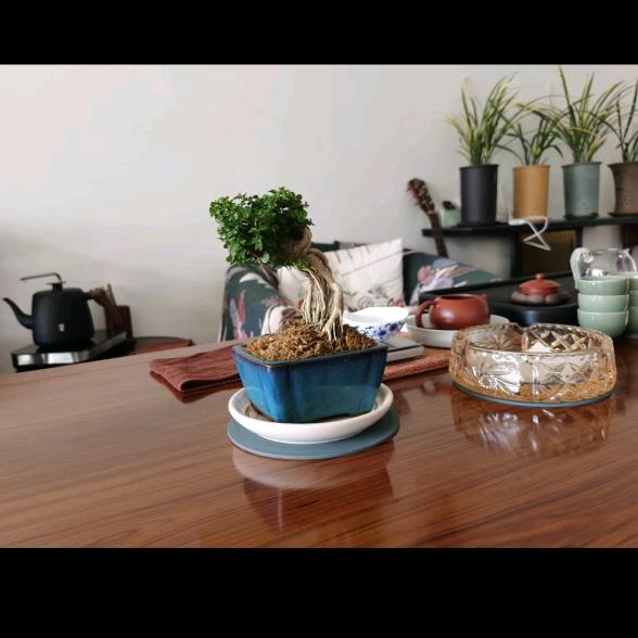 车魂，闪电