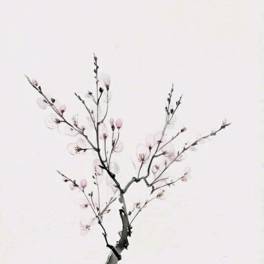花海