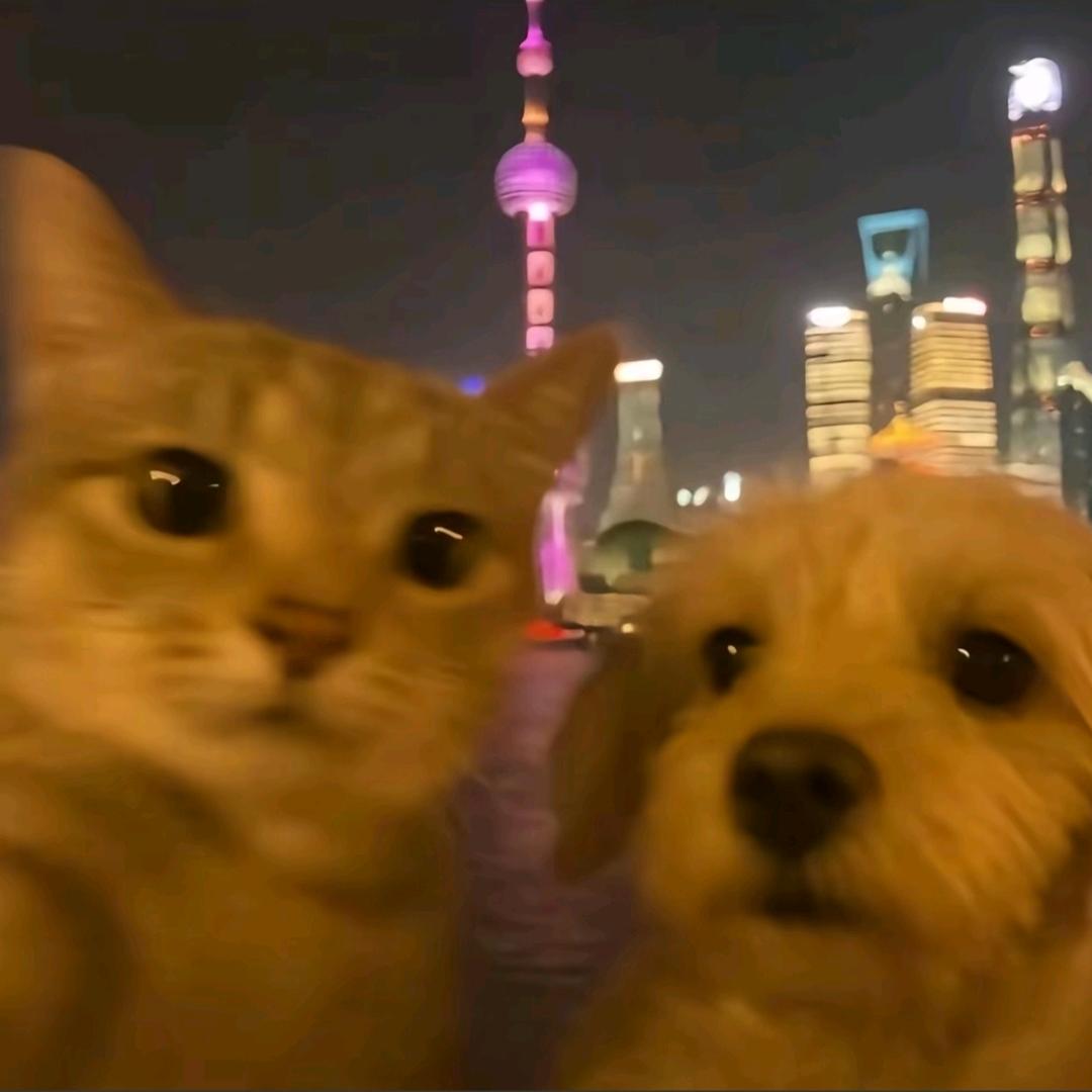 着迷阿