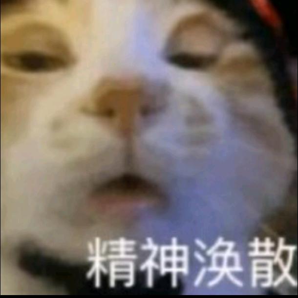 CFM阿宁（赏金令代肝）