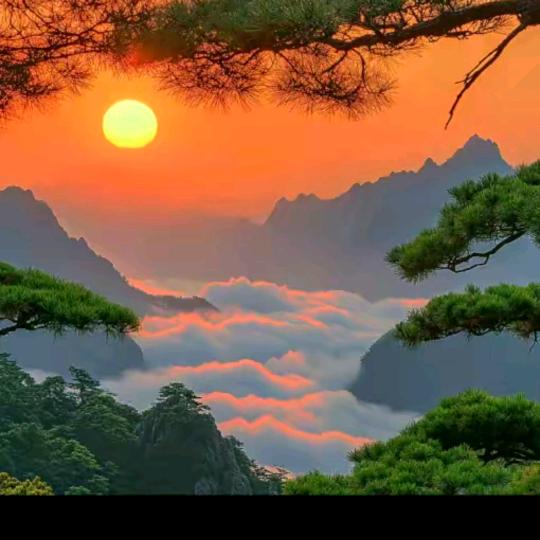 千羽相诚人长寿