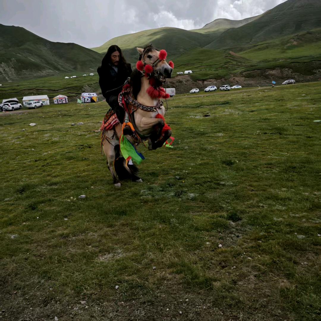 ο▬▬▬▬◙▅▅▆▆▆▇▇◤ བཀྲ