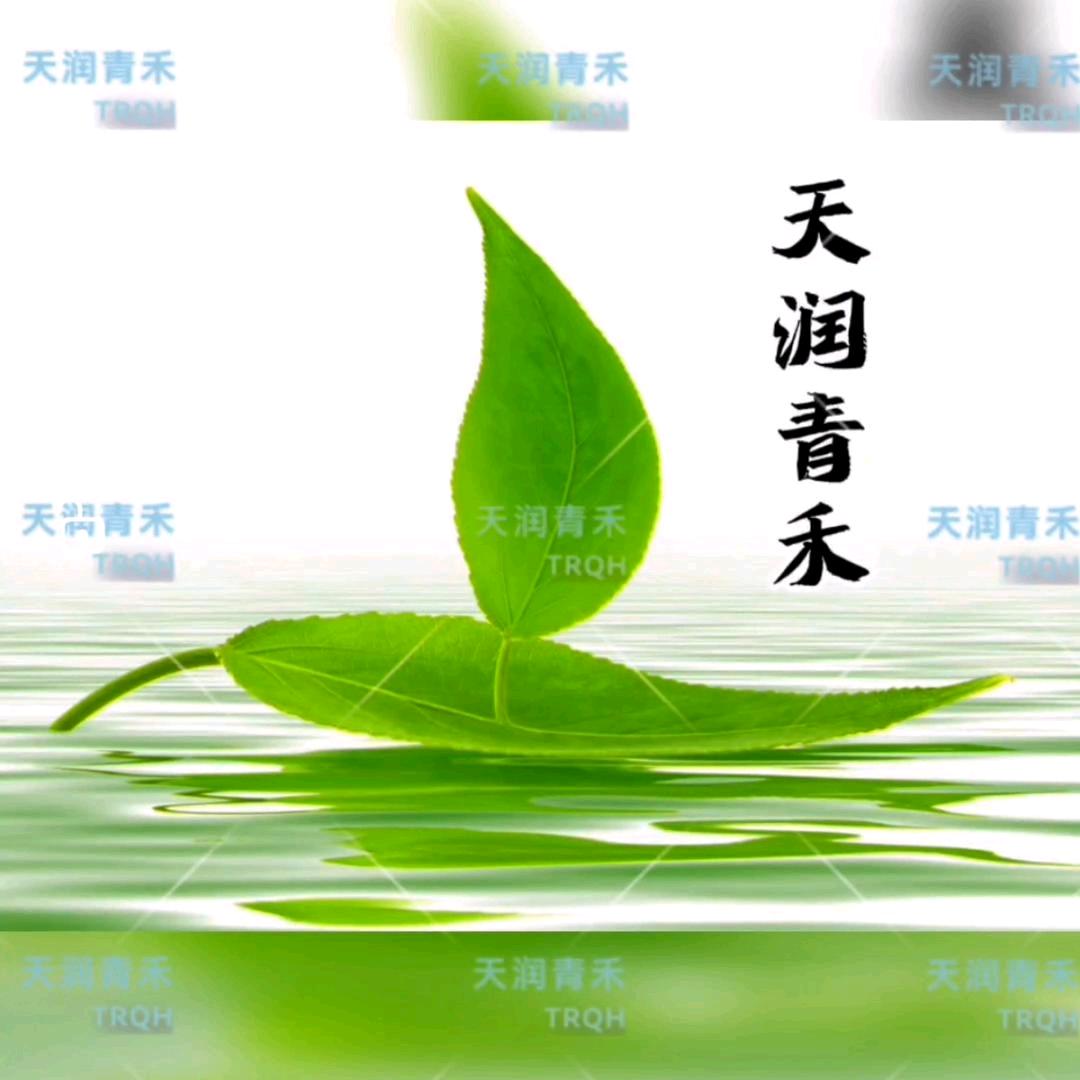 天润青禾