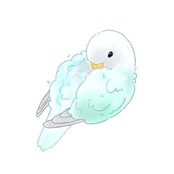 飞蒲