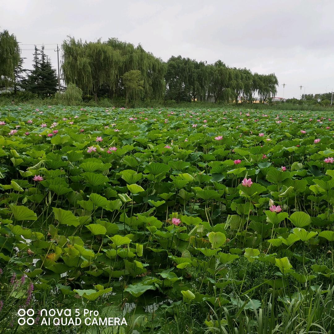 喜欢就点个关注