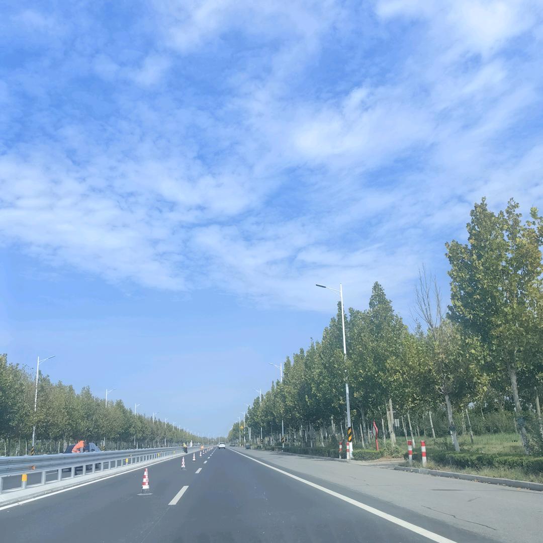 傻豆、
