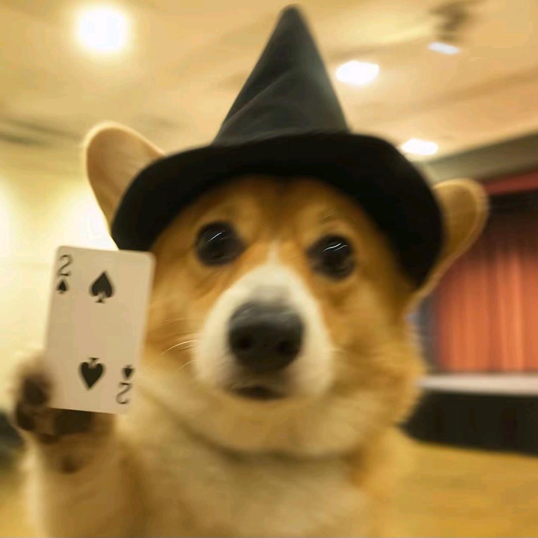 过客