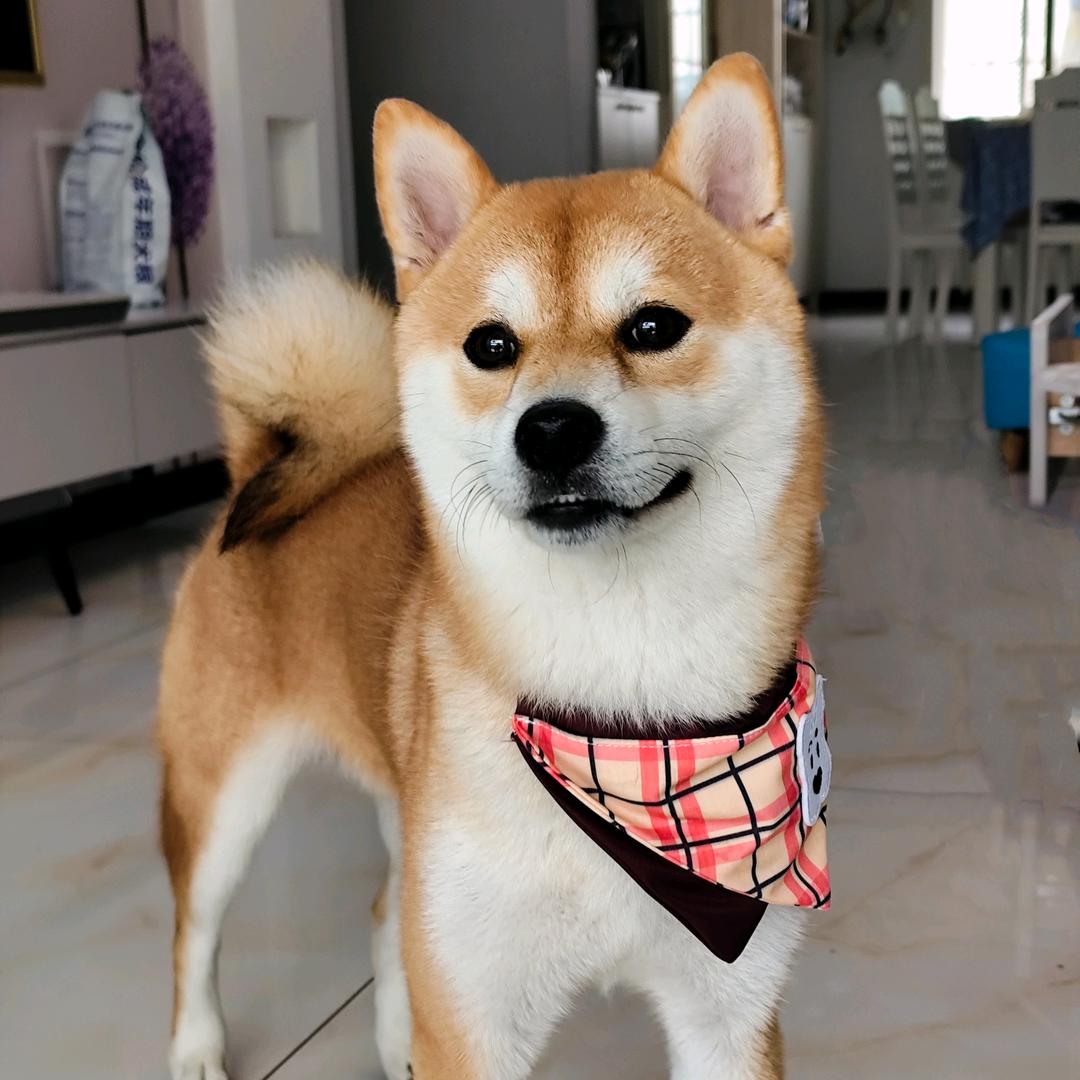 Min☆阳光一鑫