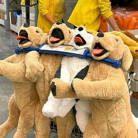 遇到困难睡大觉Zzz