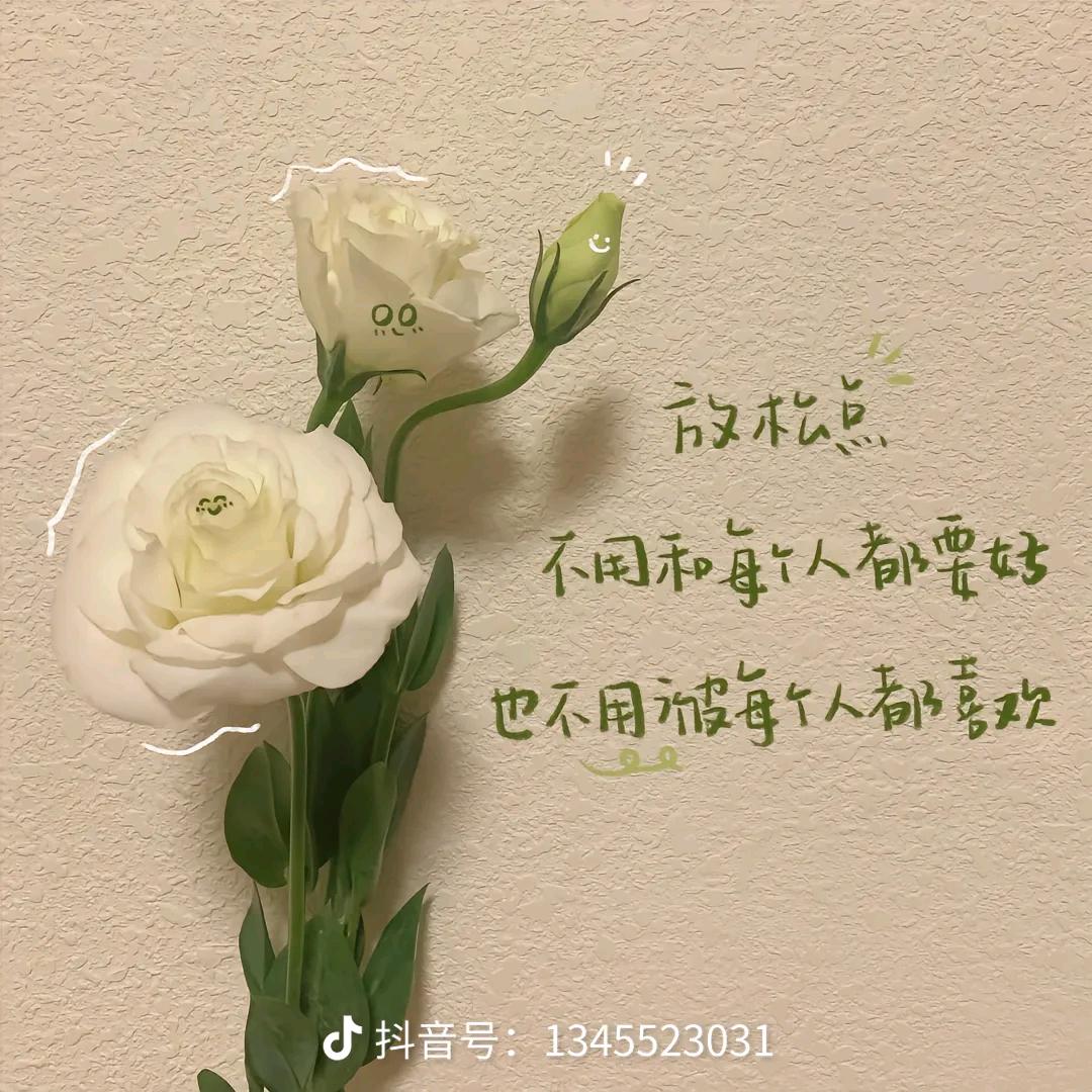 小杨爱分享