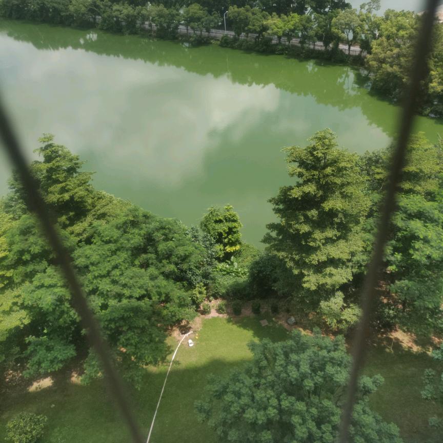 Ai教学
