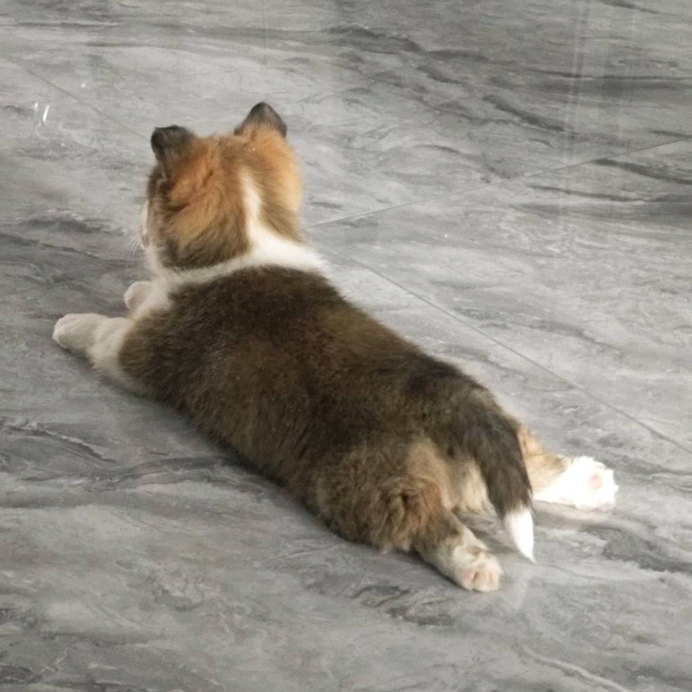月色◞ ̑̑