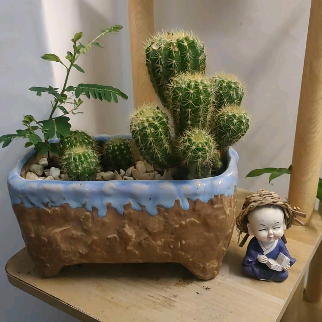 娜就这样吧