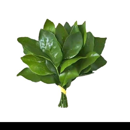 小丫头👑(低谷期 ）