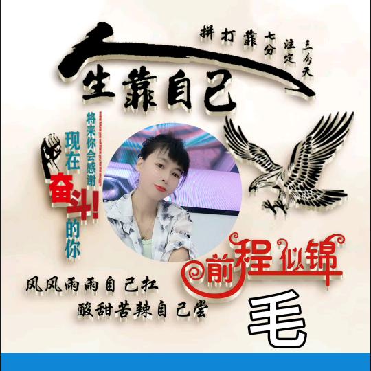 毛毛姐