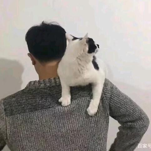 将来。
