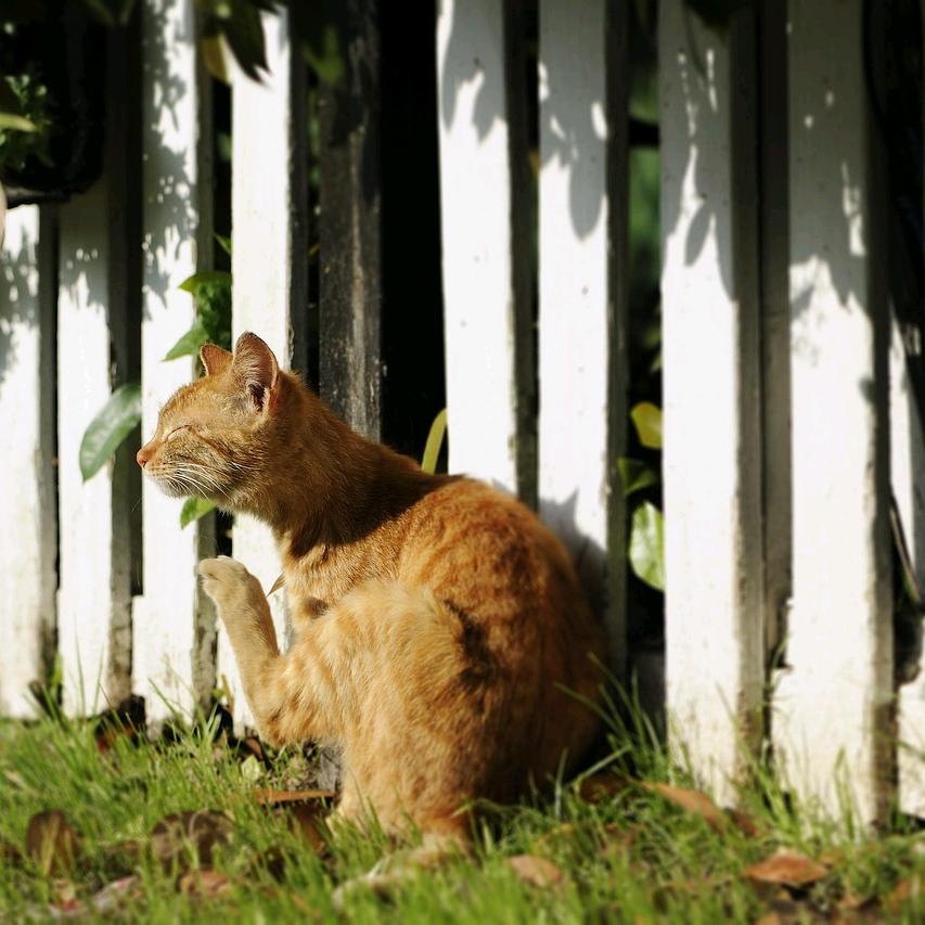 猴哥且逍遥