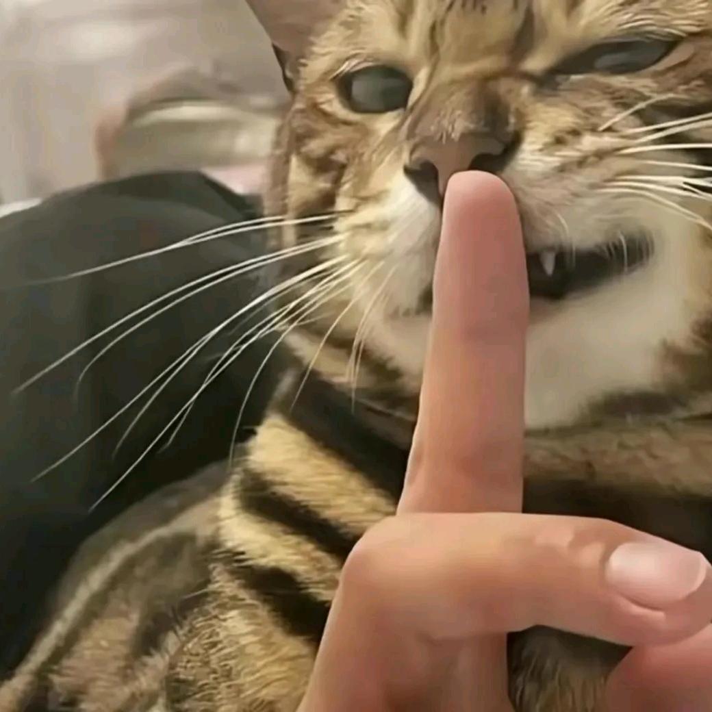 可喜