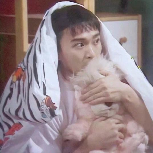 刘亦菲在逃男友