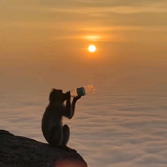 有爱可戒黑太岁