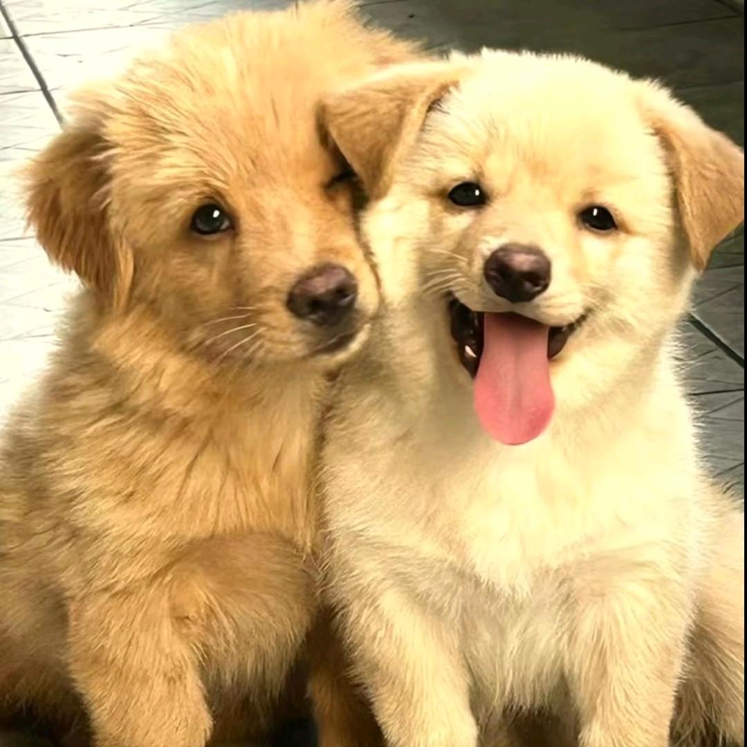 联