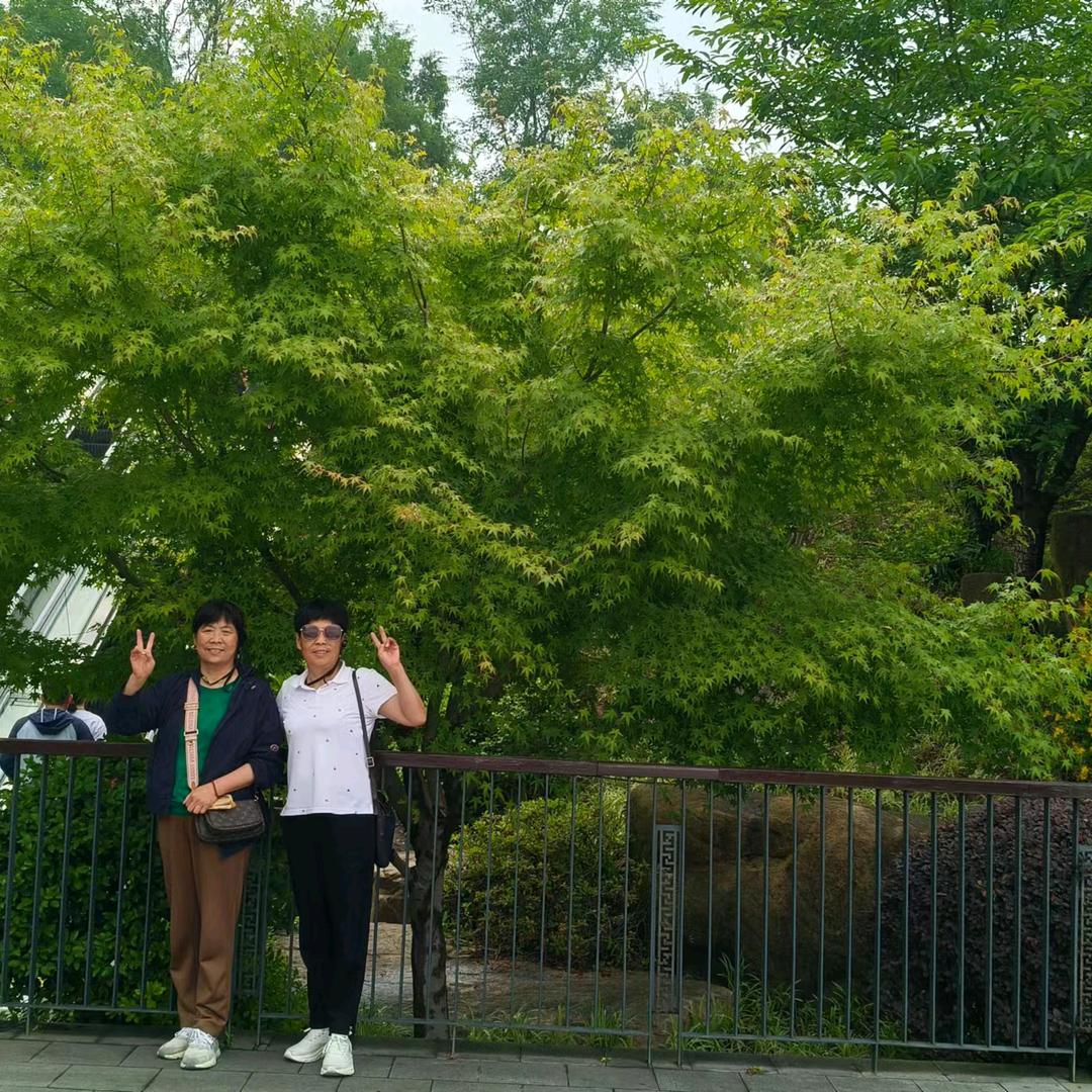 徐爱枝🍀