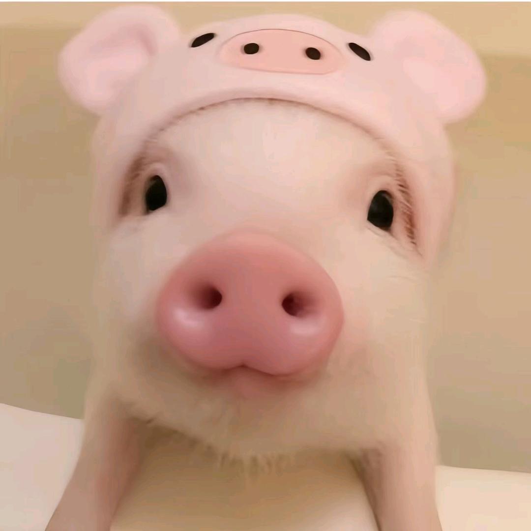 括弧84岁纯欲继父♀       广告×