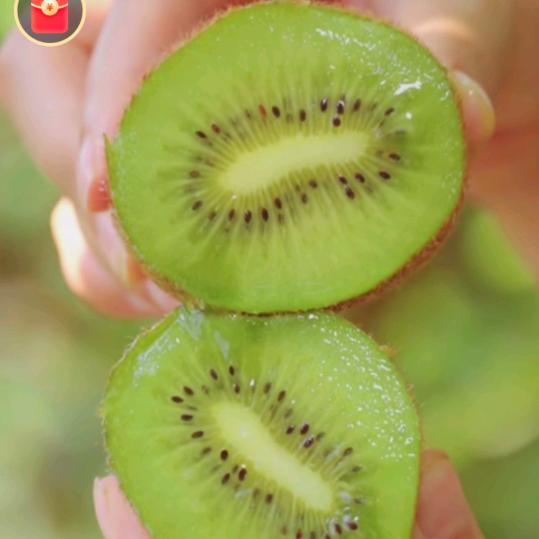 🥝奇异果🥝