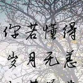 🍁尘缘如梦🍁
