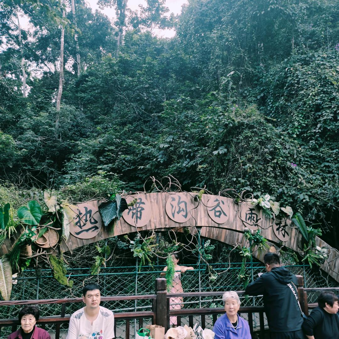 饿了就吃吧