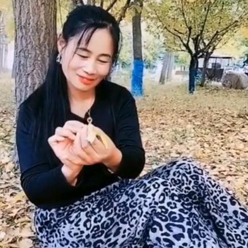 平淡生活《拒绝聊天》