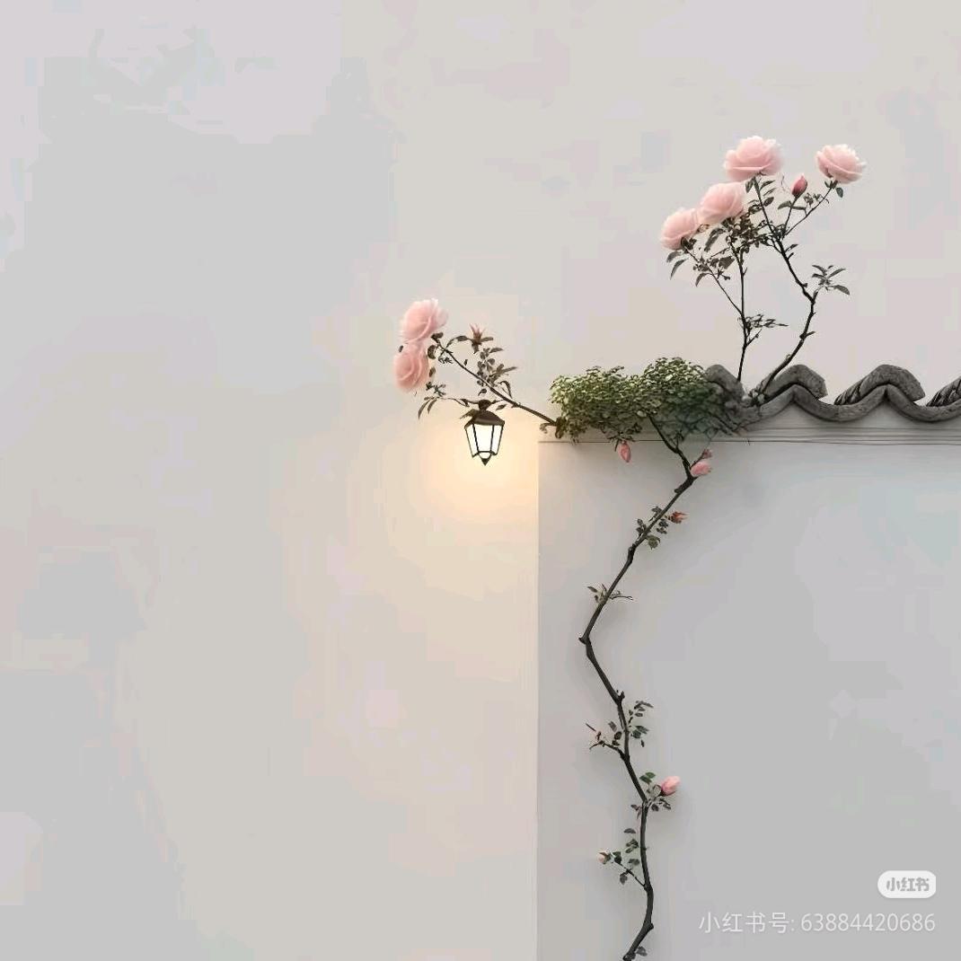耳机分你一半☆