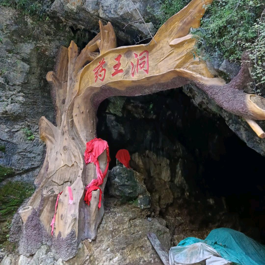 心心相印，《单身》