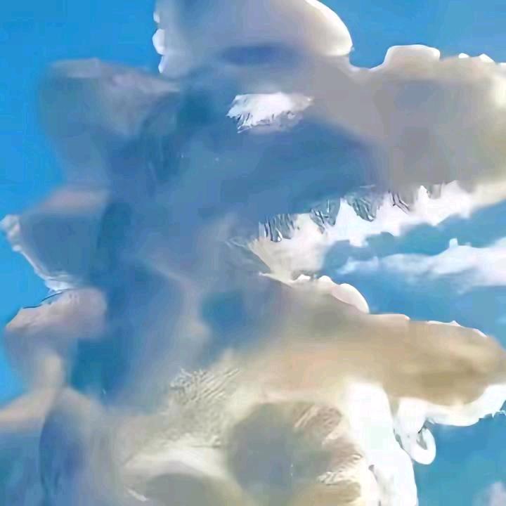 宸