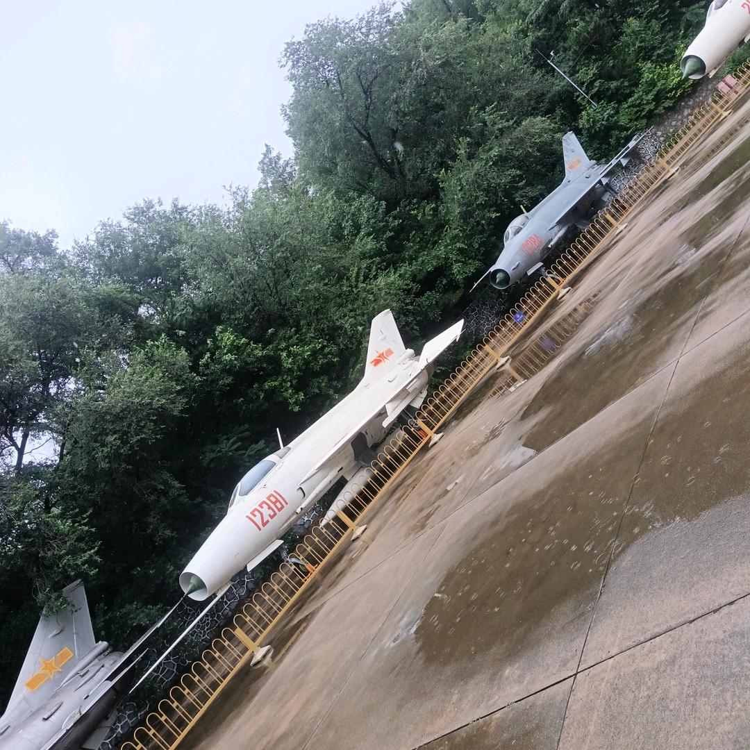 毅🦌沉默
