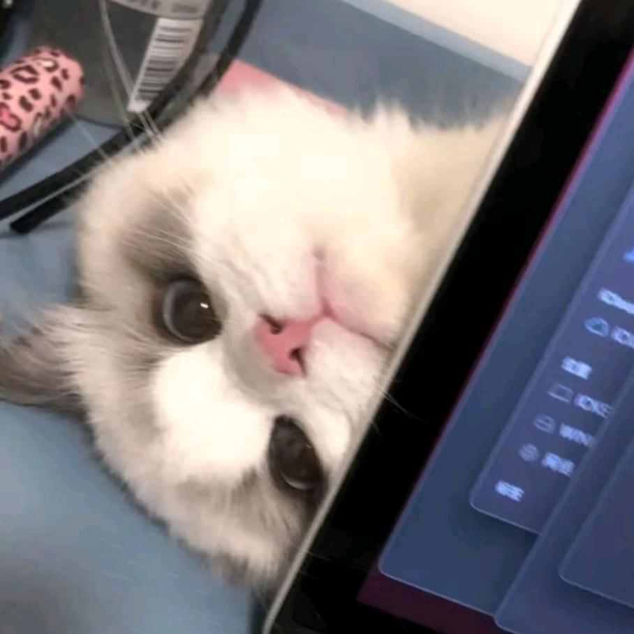 宇宙超级无敌暴龙战神