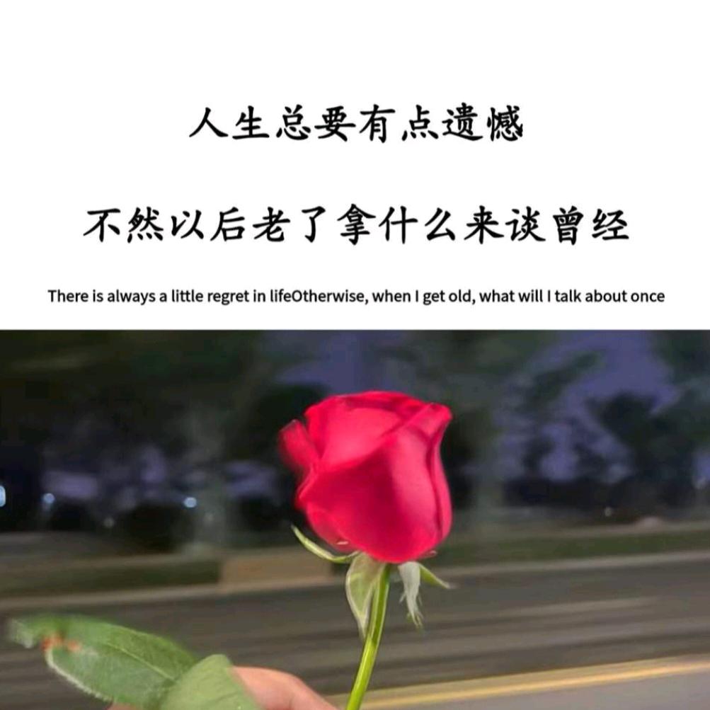 🥀᭄人生怎么选都有꧔ꦿᩚ遗憾ꦿ