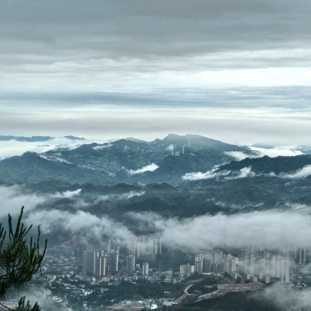 瑾察