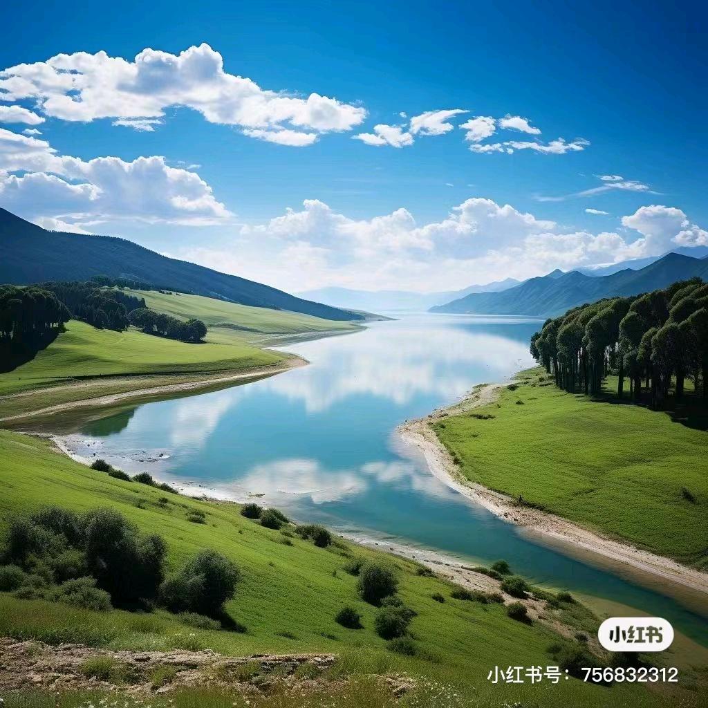 根艺盆栽爱好者