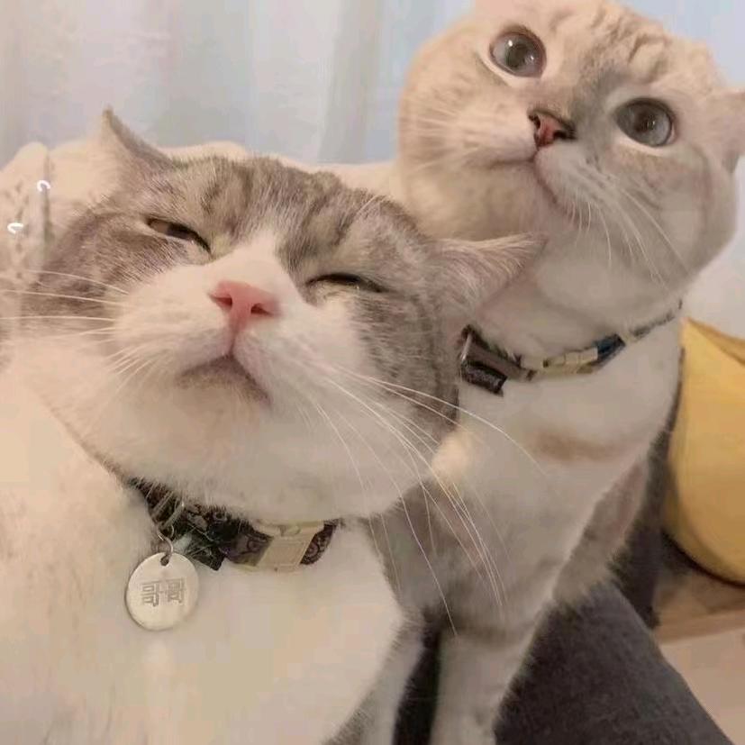 艾迪美发沙龙KT