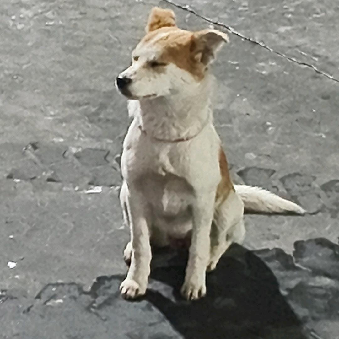 我就看看