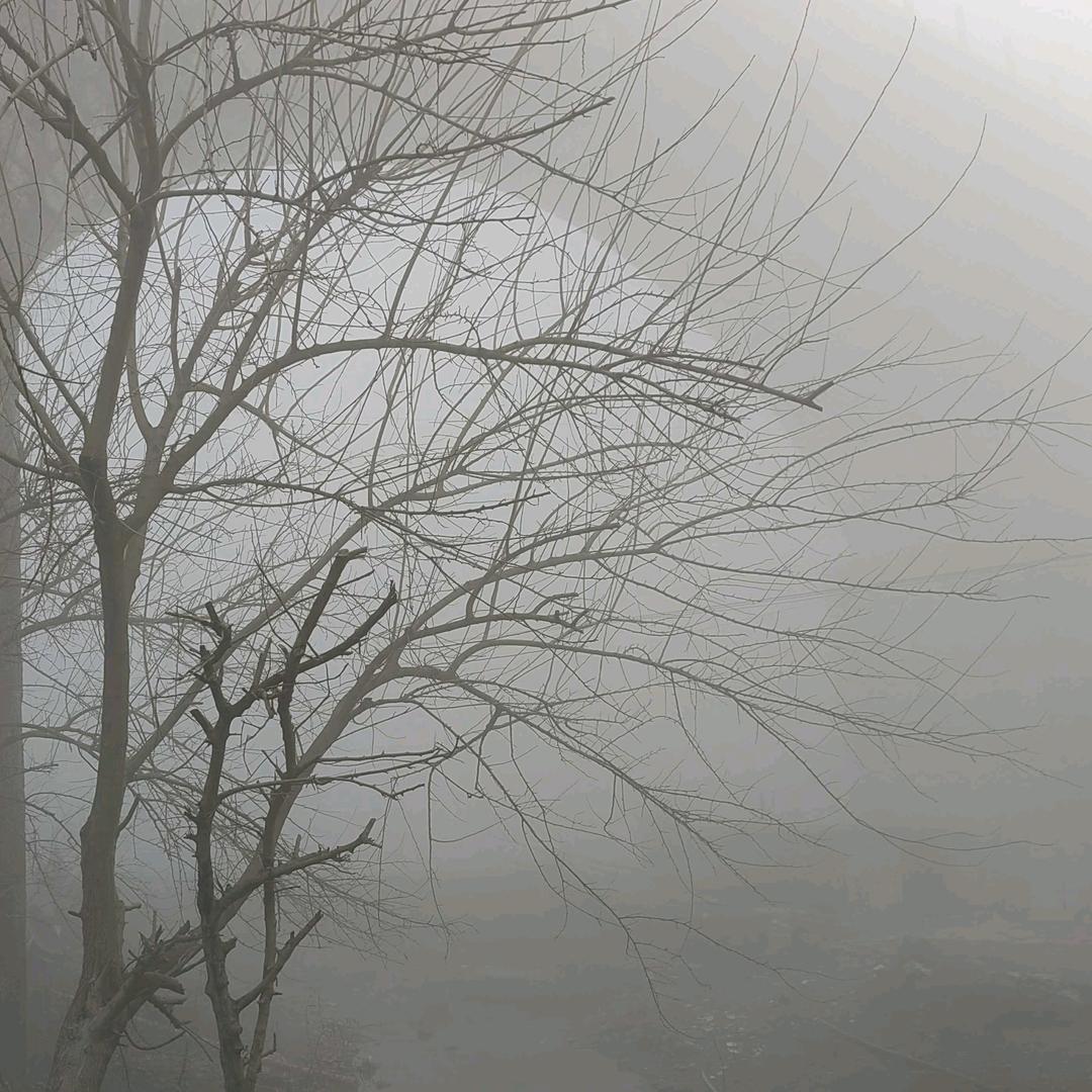 梅雨季要来了…