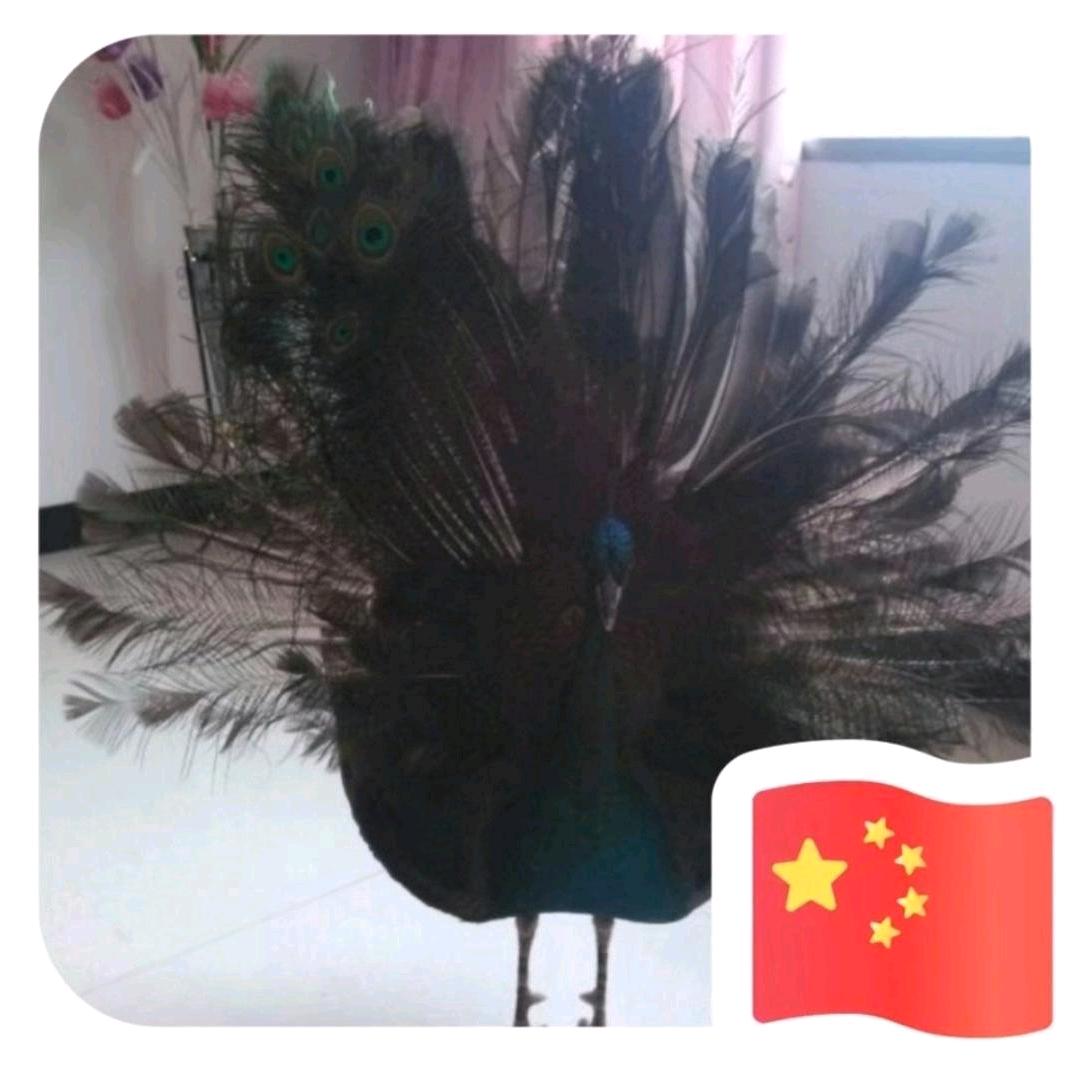 哎哟游