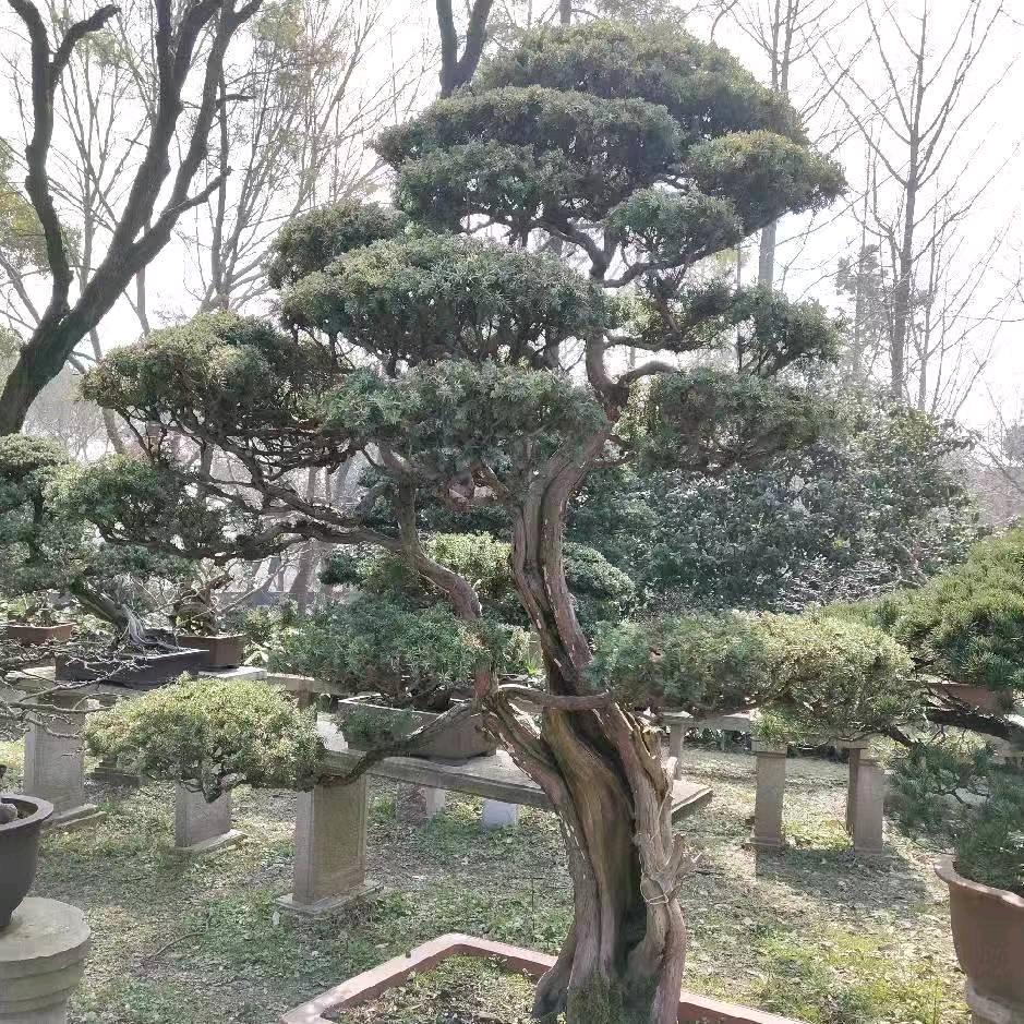 杨帆起航