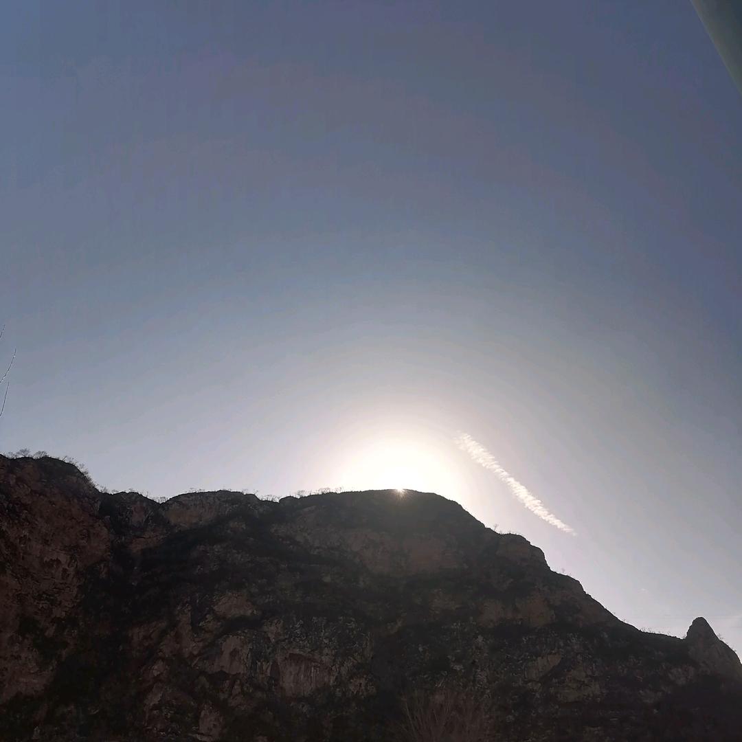 雁南飞