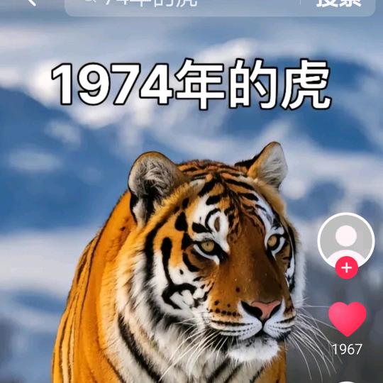狄哥